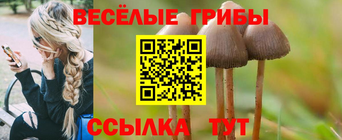Псилоцибиновые грибы мухоморы Карпинск